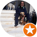 dimitris stamatelopoulos profile picture